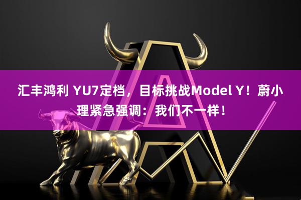 汇丰鸿利 YU7定档，目标挑战Model Y！蔚小理紧急强调：我们不一样！