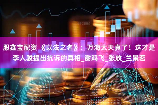 股鑫宝配资 《以法之名》：万海太天真了！这才是李人骏提出抗诉的真相_谢鸿飞_张放_兰景茗