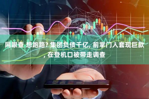 网眼查 想跑路? 集团负债千亿, 前掌门人套现巨款, 在登机口被带走调查