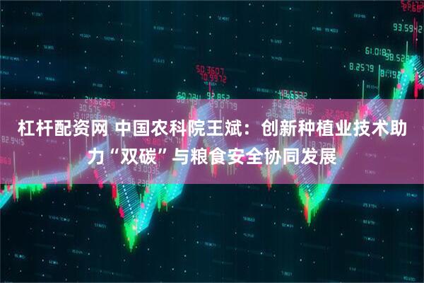 杠杆配资网 中国农科院王斌：创新种植业技术助力“双碳”与粮食安全协同发展
