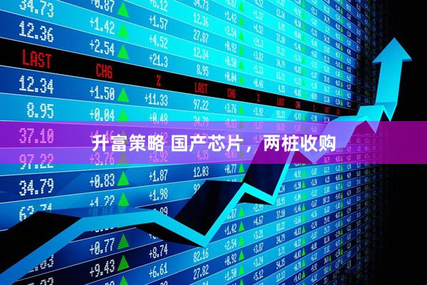 升富策略 国产芯片，两桩收购