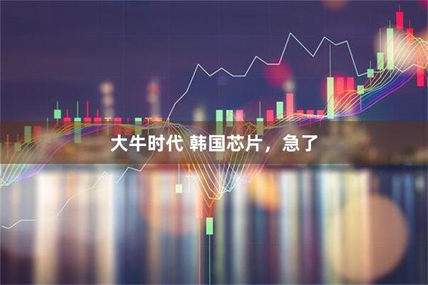 大牛时代 韩国芯片，急了