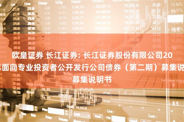 欧皇证券 长江证券: 长江证券股份有限公司2025年面向专业投资者公开发行公司债券（第二期）募集说明书