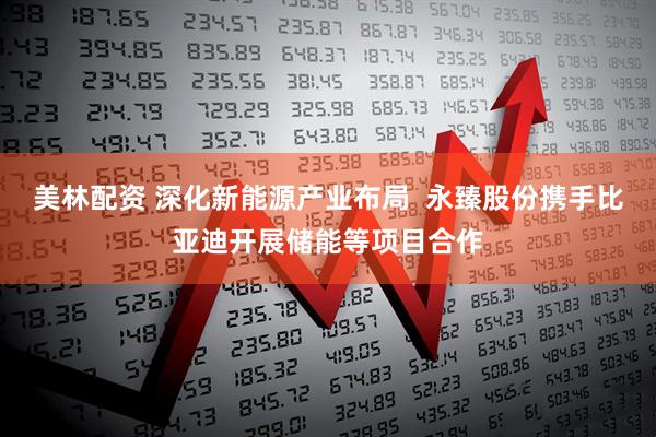 美林配资 深化新能源产业布局  永臻股份携手比亚迪开展储能等项目合作