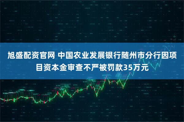 旭盛配资官网 中国农业发展银行随州市分行因项目资本金审查不严被罚款35万元